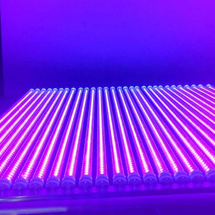 UVC波段的紫外线灯用于杀菌消毒